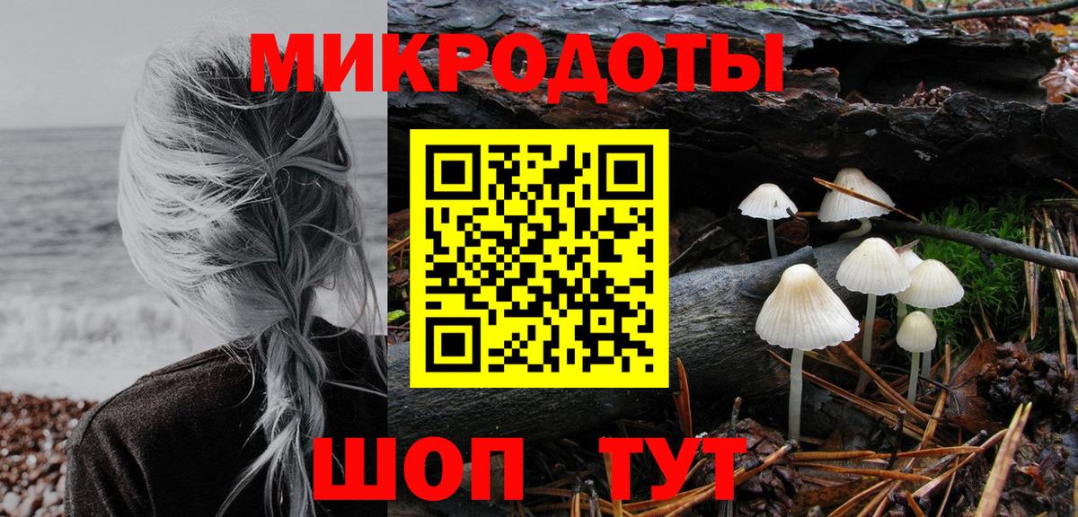 Псилоцибиновые грибы мицелий Тулун